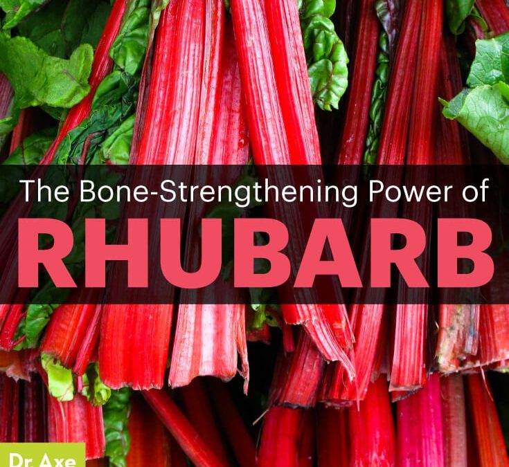 Who Knew Rhubarb Was A Potent Bone Strengthener?