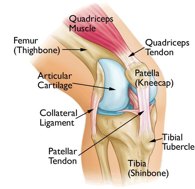 patellofemoral pain syndrome is common in runners